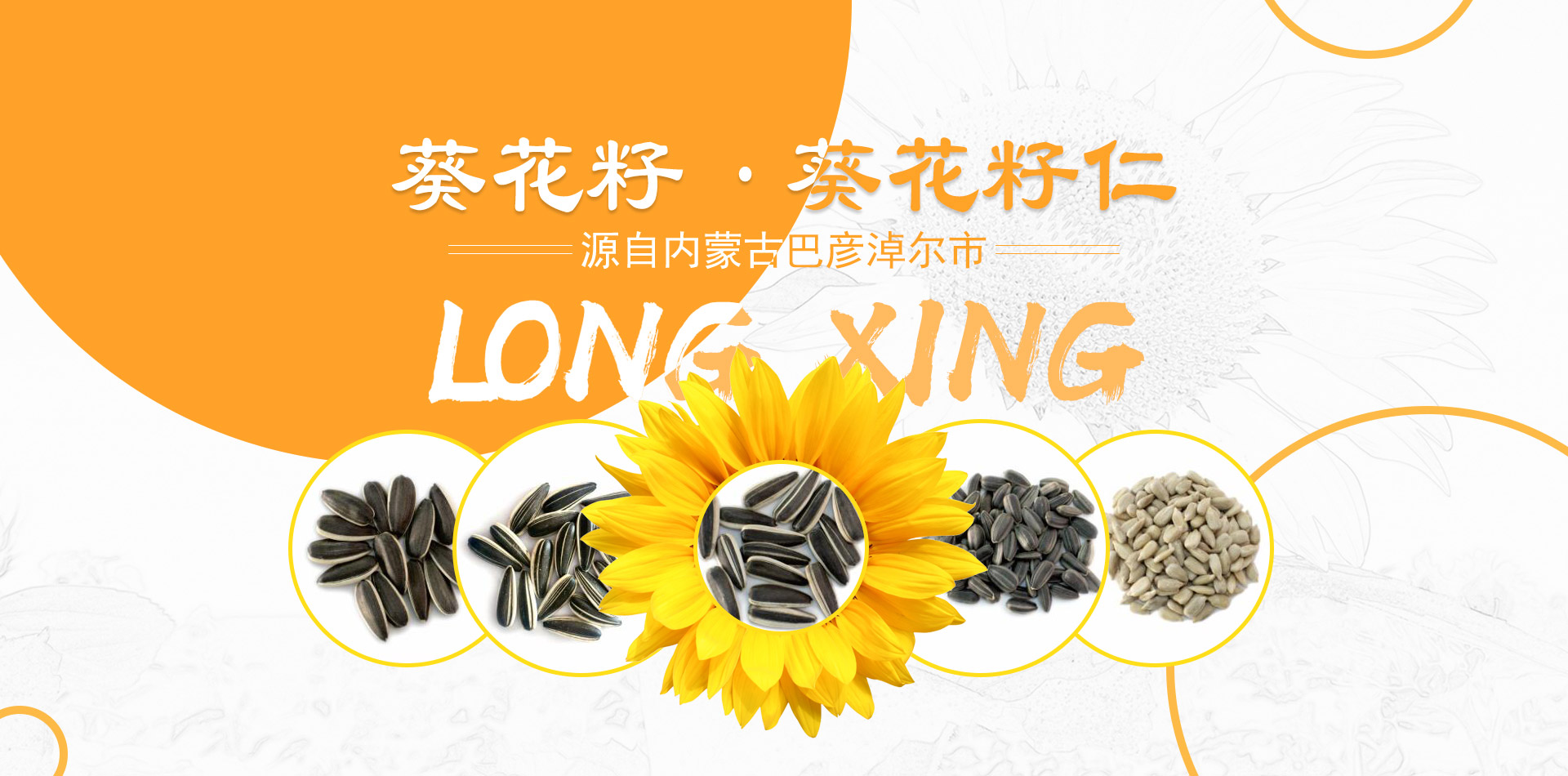 巴彥淖爾市隆興商貿有限公司