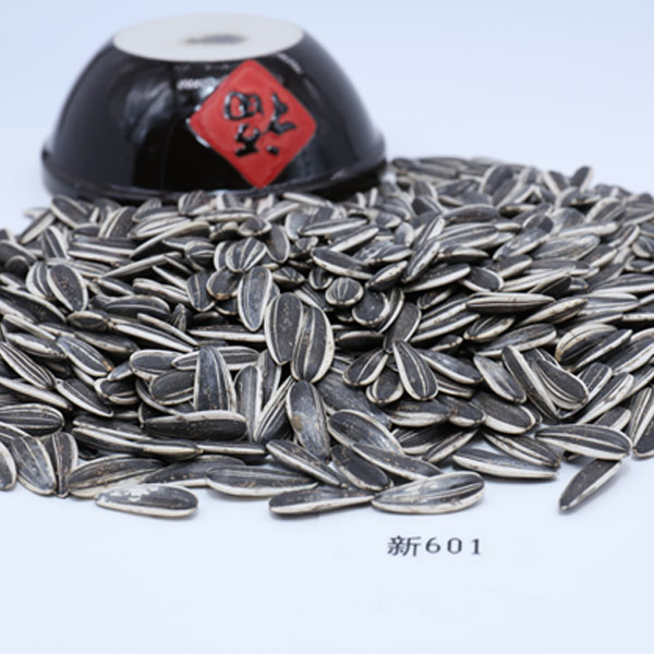 葵花籽601