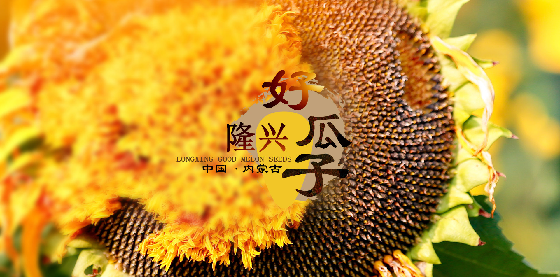 巴彥淖爾市隆興商貿有限公司
