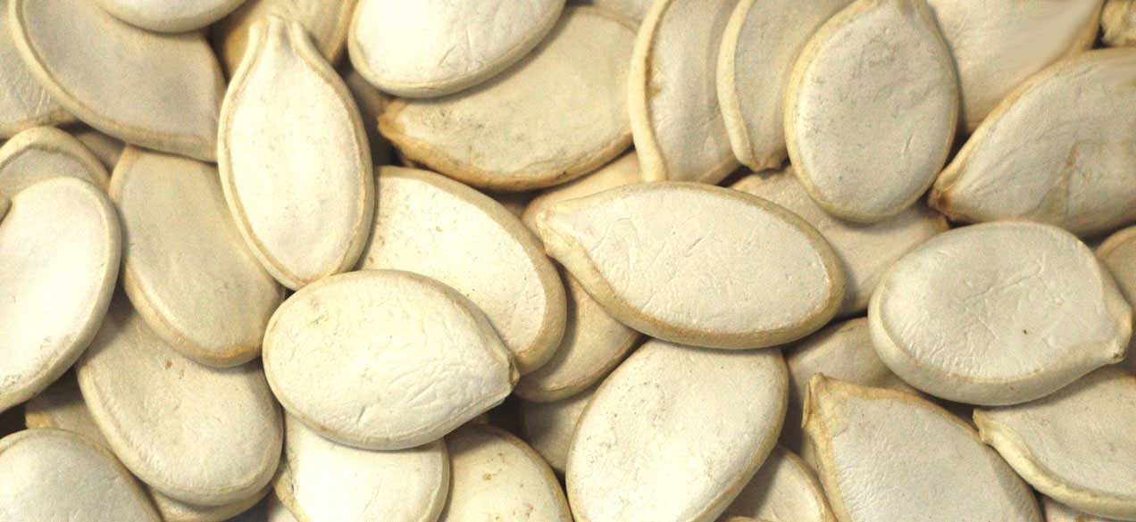 Pumpkin seeds