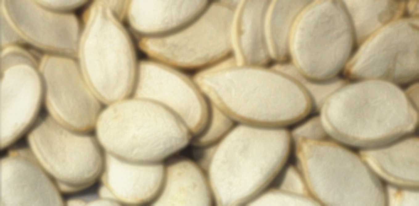 Pumpkin seeds