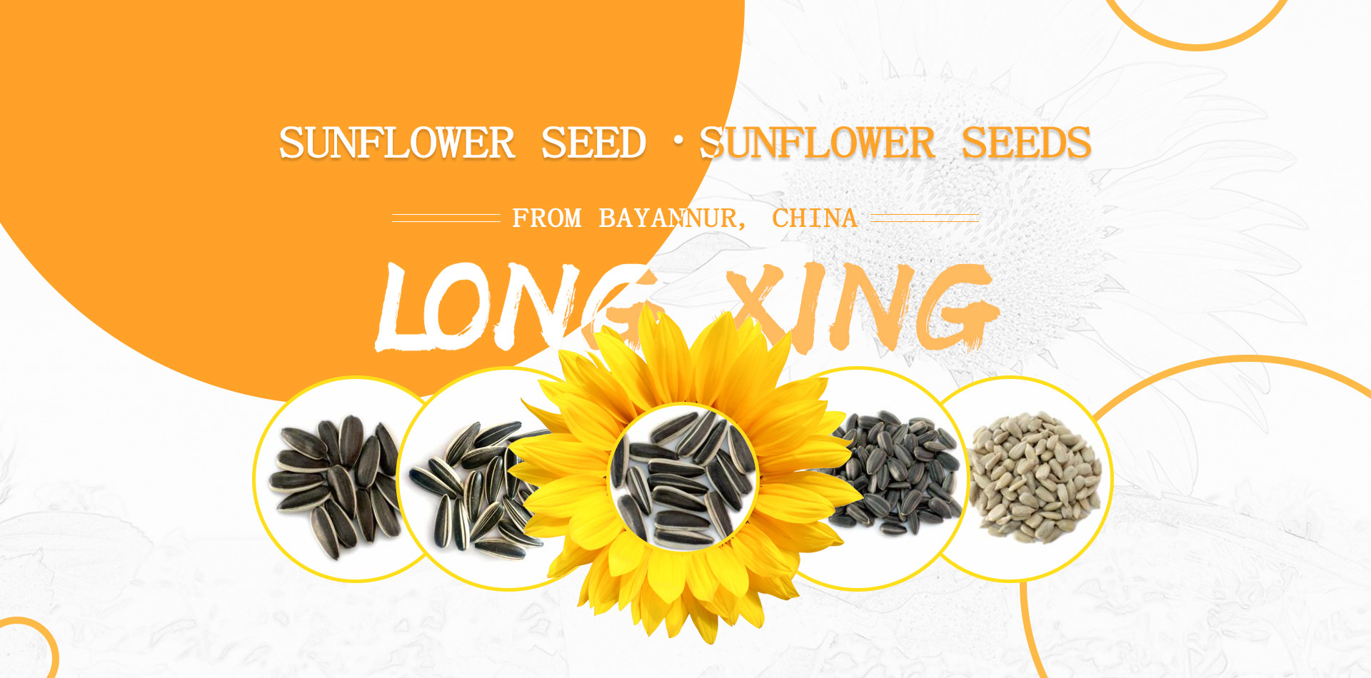 Bayannaoer Longxing Trading Company