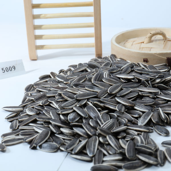 Sunflower seeds 5009
