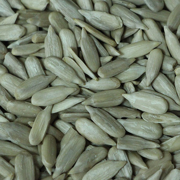 Sunflower Seed Kernel